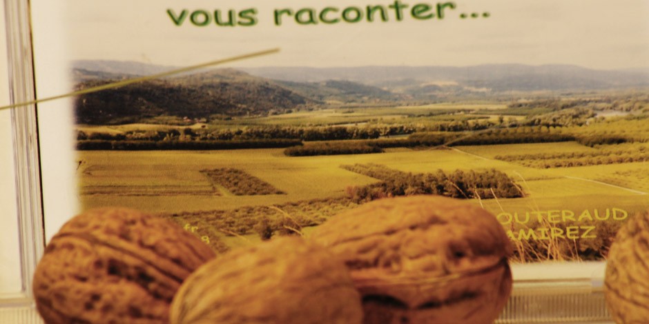 Si mes noyers pouvaient vous raconter...
